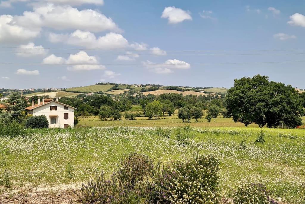 Villa Sant Isidoro Corinaldo Esterno foto