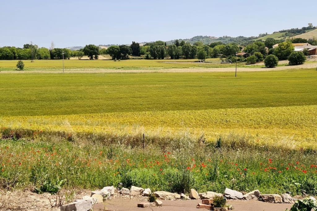 Villa Sant Isidoro Corinaldo Esterno foto